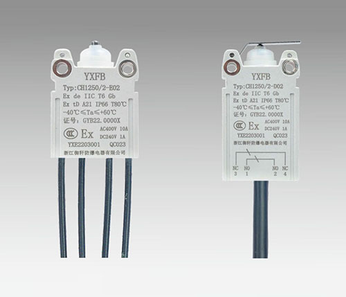 CH1250-8 防爆行程開關